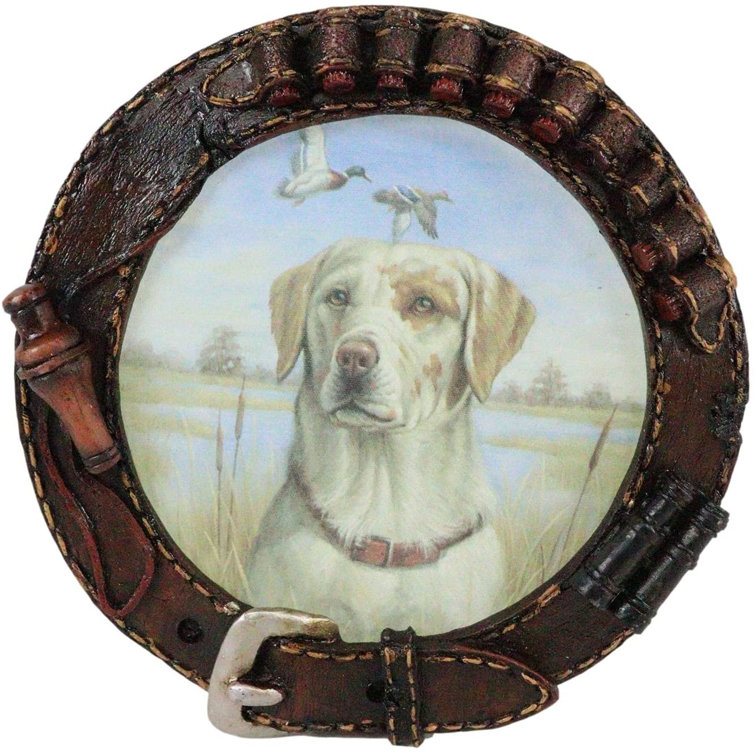 Hunting dog outlet products